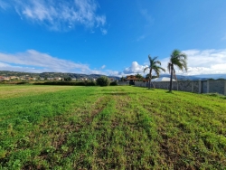 Terreno Agricolo Campo Calabro 1300 Mq