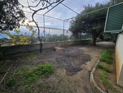 Villa Indipendente Su 3 Livelli 296 Mq + Giardino 1.000 Mq Aretina