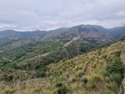 Terreno Agricolo 13000 Mq Santa Domenica