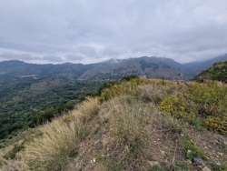 Terreno Agricolo 13000 Mq Santa Domenica