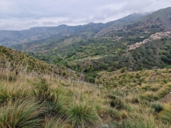 Terreno Agricolo 13000 Mq Santa Domenica