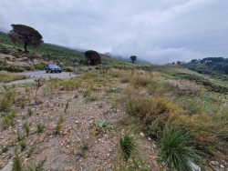 Terreno Agricolo 13000 Mq Santa Domenica