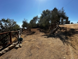 Esclusivo Agriturismo  Panoramico Palizzi