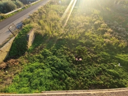 Villa Bifamiliare Rustica Panoramica Con Giardino Campo Calabro 