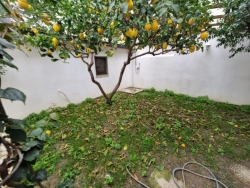 Casa Indipendente Su Due Livelli Arredata Con Giardino San Leo